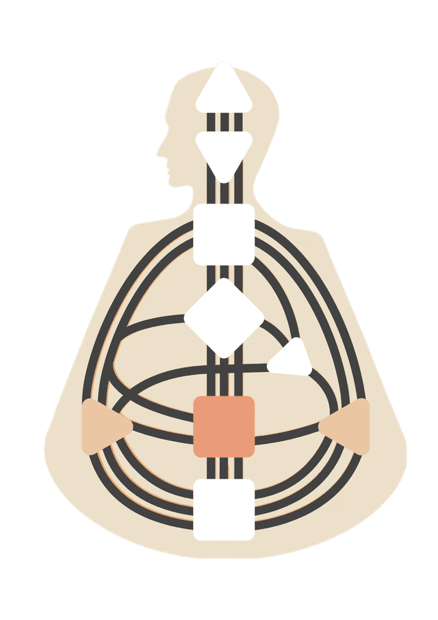 What you'll see (and what this odd-looking diagram means).